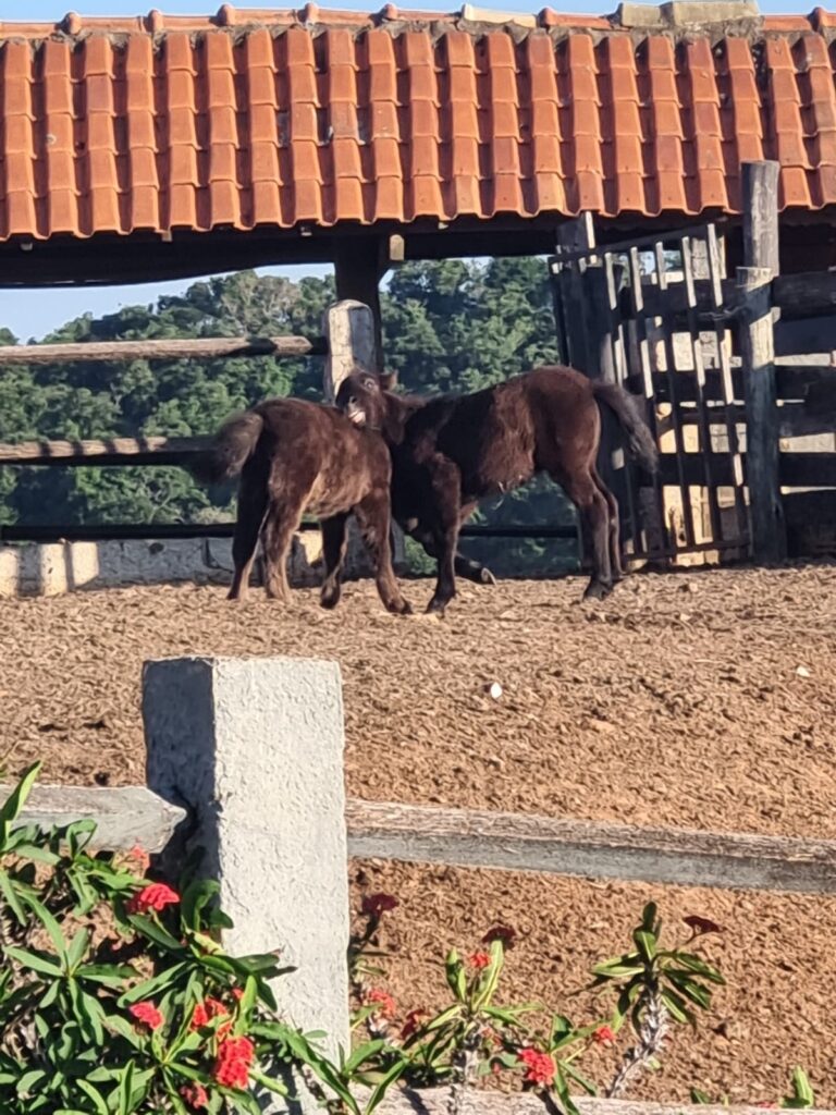 WhatsApp Image 2023-10-23 at 18.35.16 (4)