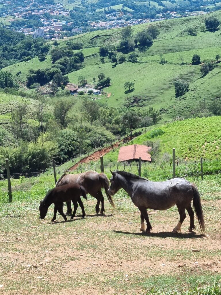 WhatsApp Image 2023-10-23 at 18.35.16