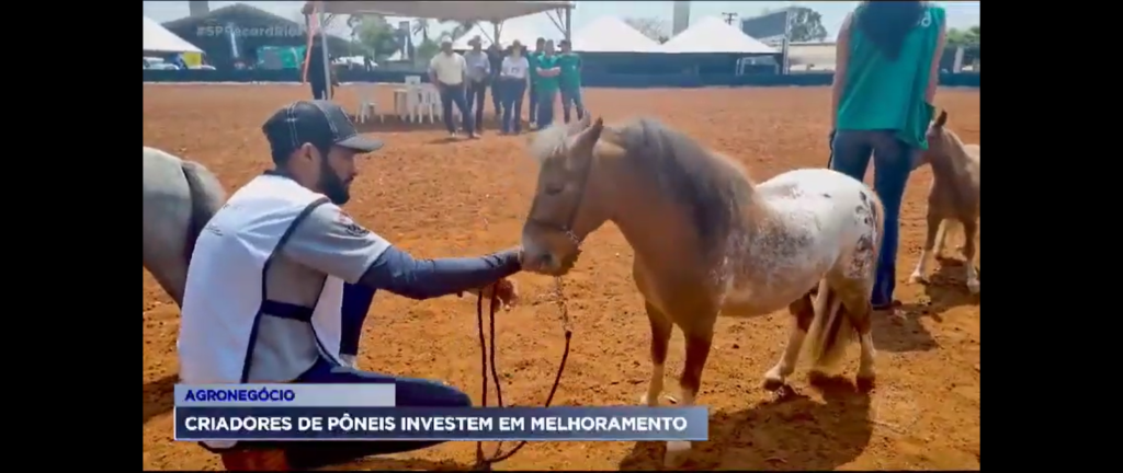 imagem_2023-10-19_141211320