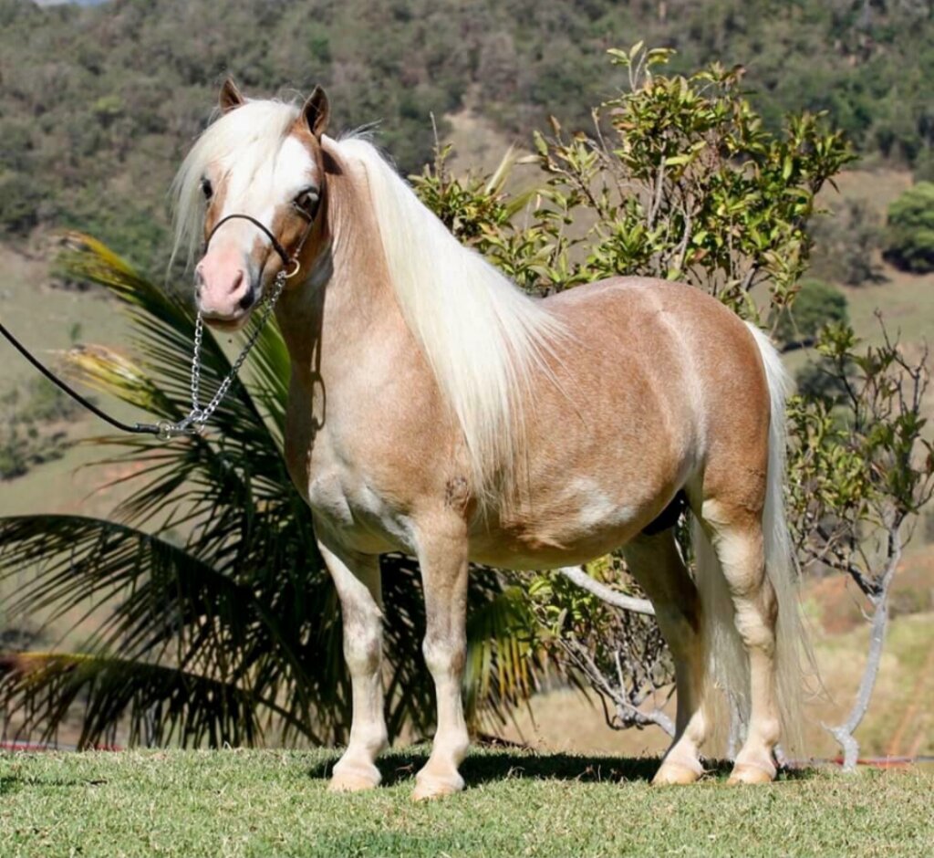 2868823e-0609-43a6-b64e-2ef60a495071