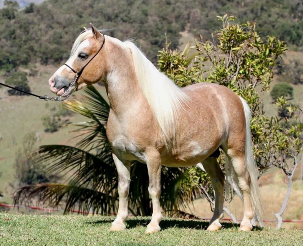 3623572f-aaee-4ed5-9af2-25cb9605d702