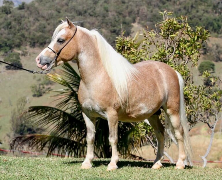 3623572f-aaee-4ed5-9af2-25cb9605d702