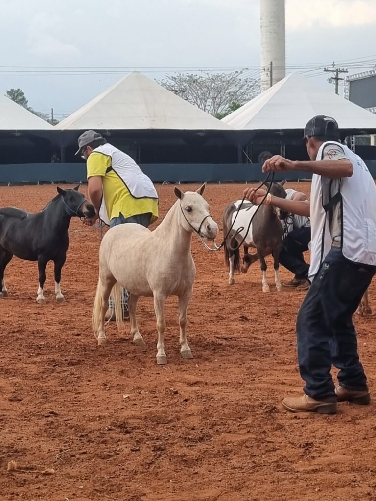 WhatsApp Image 2023-11-02 at 15.46.11