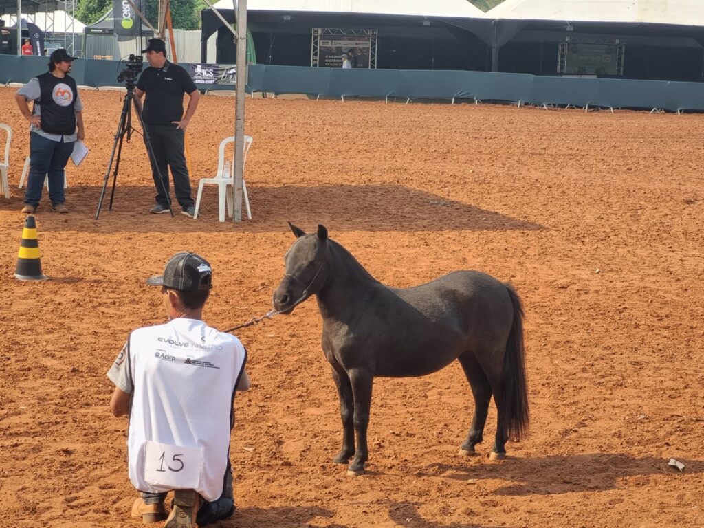 WhatsApp Image 2023-11-02 at 15.46.12 (1)