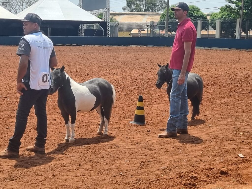 WhatsApp Image 2023-11-02 at 15.46.12 (2)