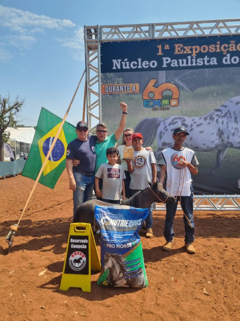 WhatsApp Image 2023-11-02 at 15.46.12