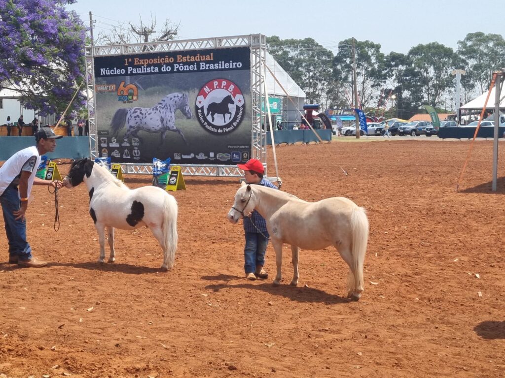 WhatsApp Image 2023-11-02 at 15.46.13