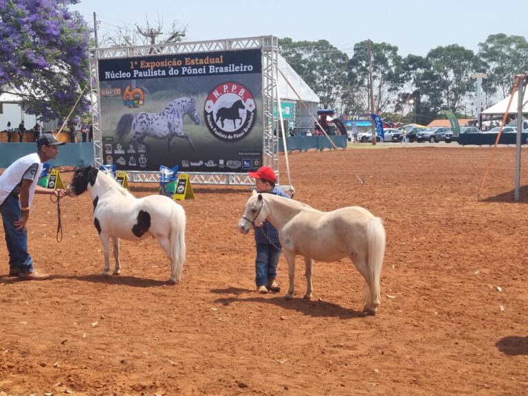 WhatsApp Image 2023-11-02 at 15.46.13