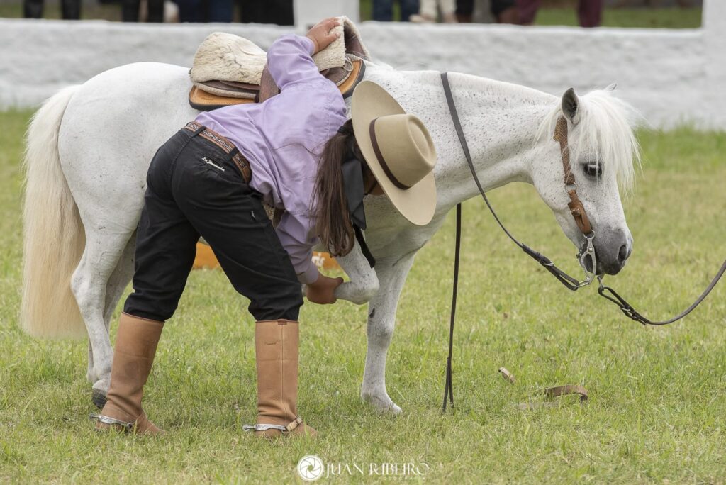 WhatsApp Image 2023-11-06 at 17.57.05 (1)