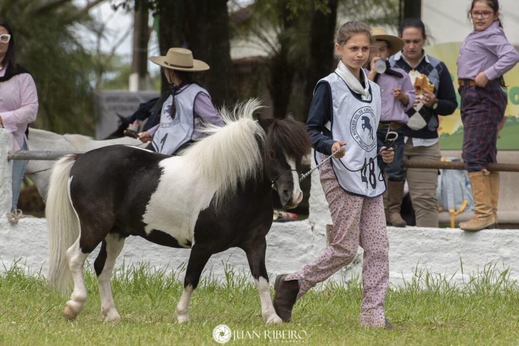 WhatsApp Image 2023-11-06 at 17.57.07 (1)