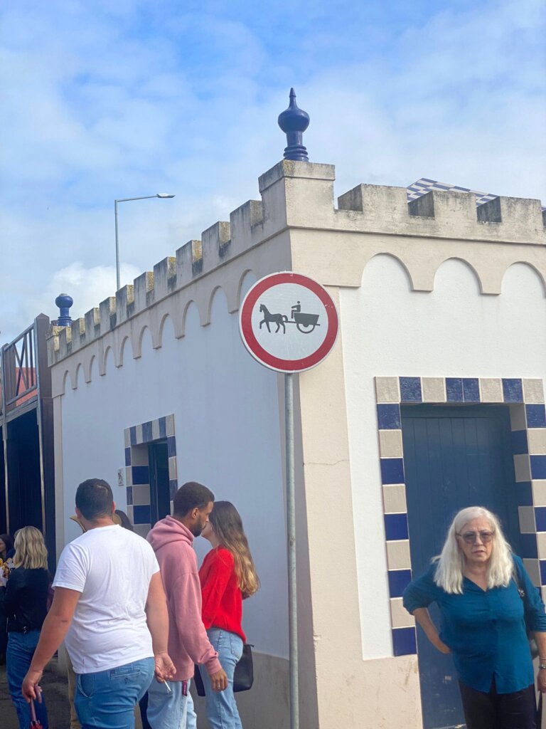 WhatsApp Image 2023-11-12 at 15.45.33 (1)