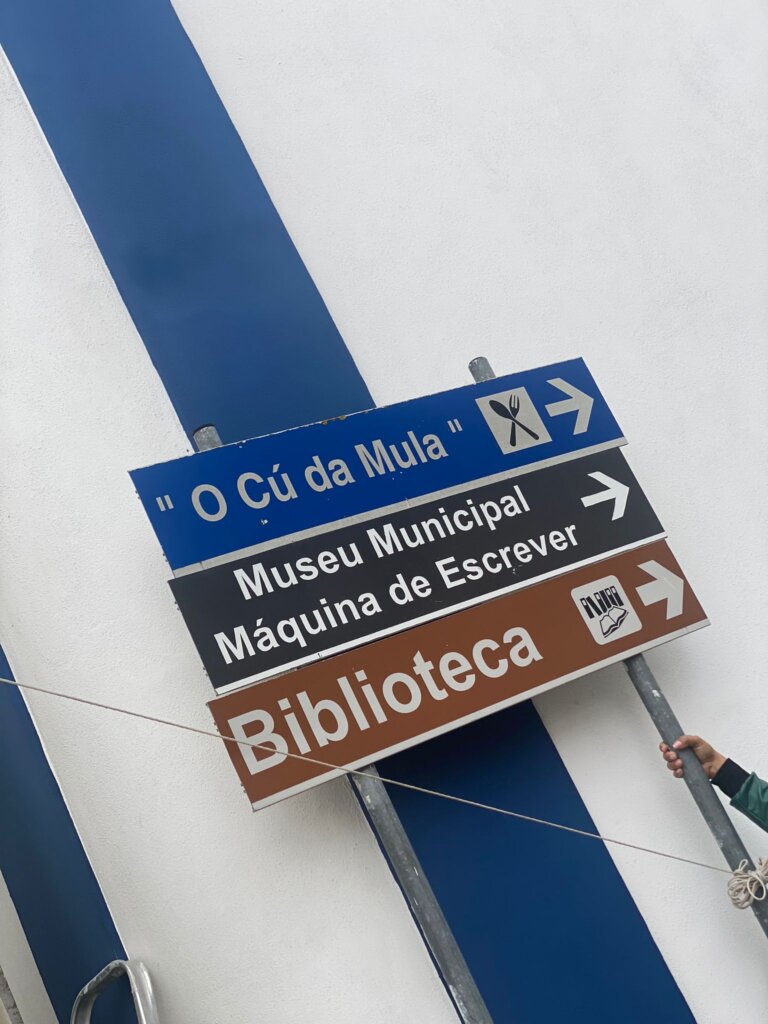 WhatsApp Image 2023-11-12 at 15.45.33