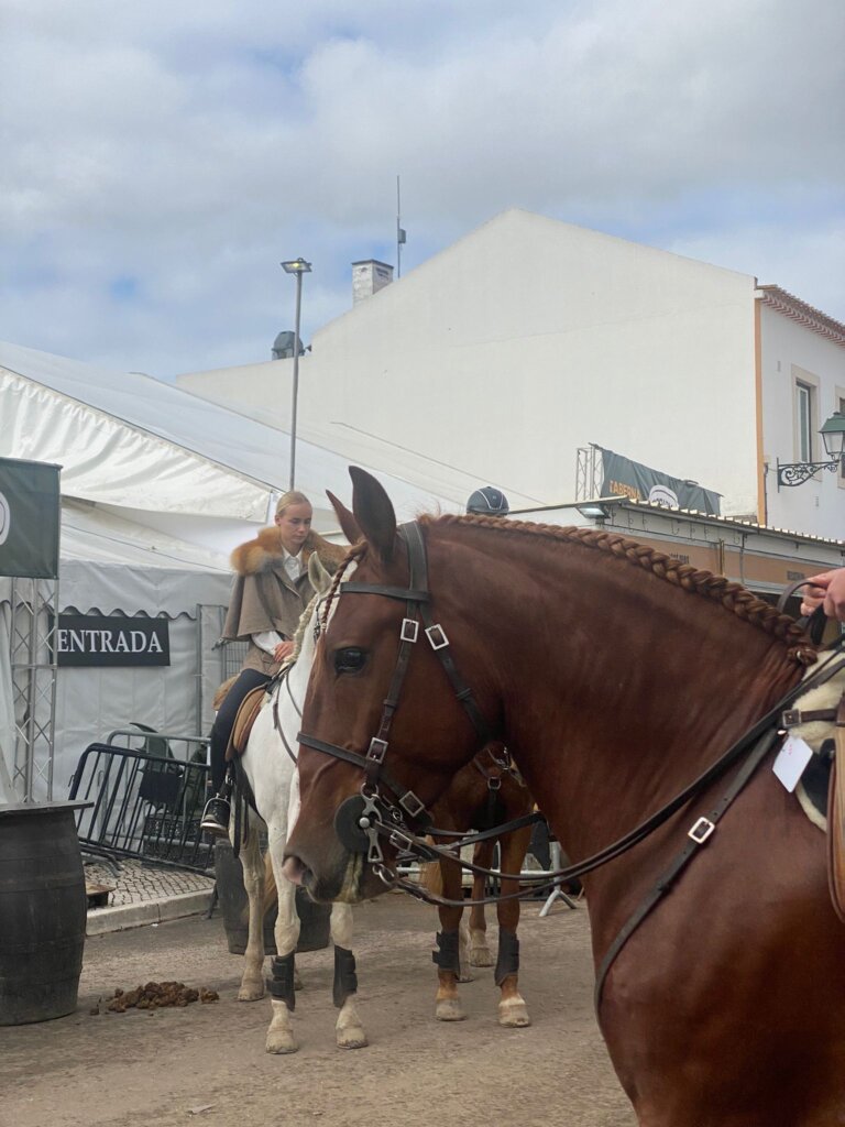 WhatsApp Image 2023-11-12 at 15.45.34 (10)