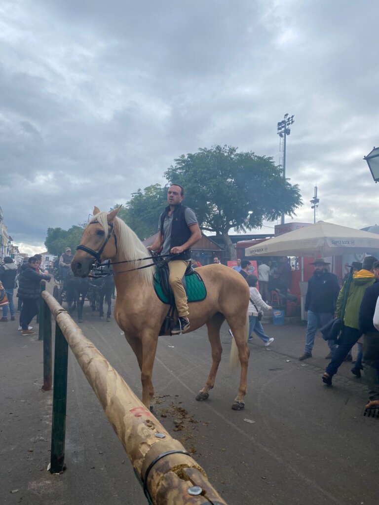 WhatsApp Image 2023-11-12 at 15.45.34 (2)