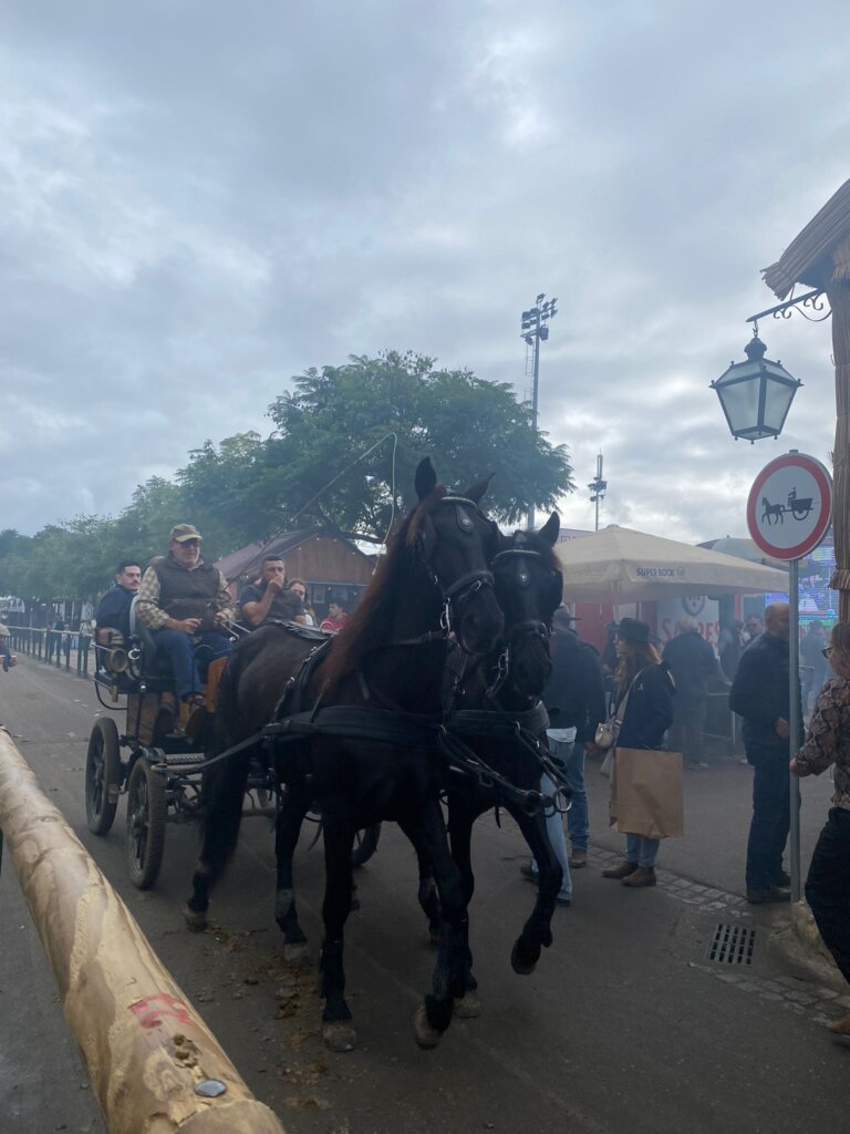 WhatsApp Image 2023-11-12 at 15.45.34 (3)