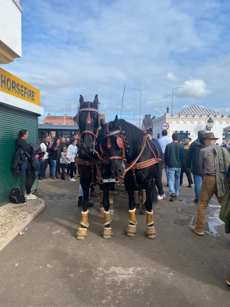 WhatsApp Image 2023-11-12 at 15.45.34 (4)