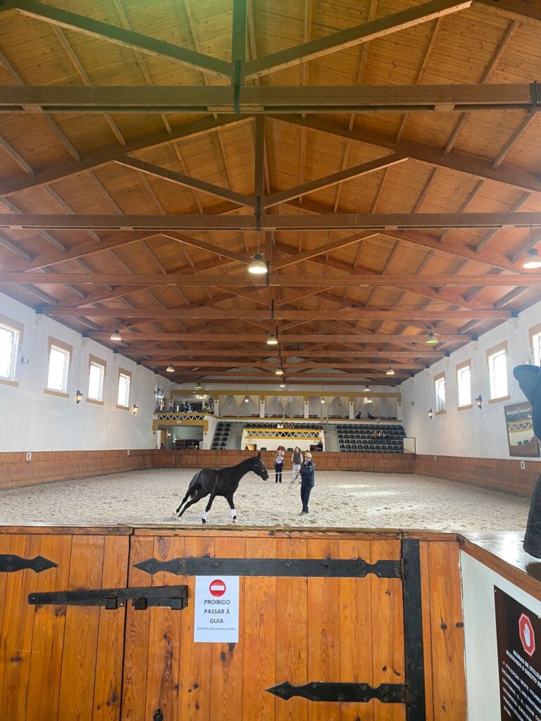 WhatsApp Image 2023-11-12 at 15.45.34 (6)