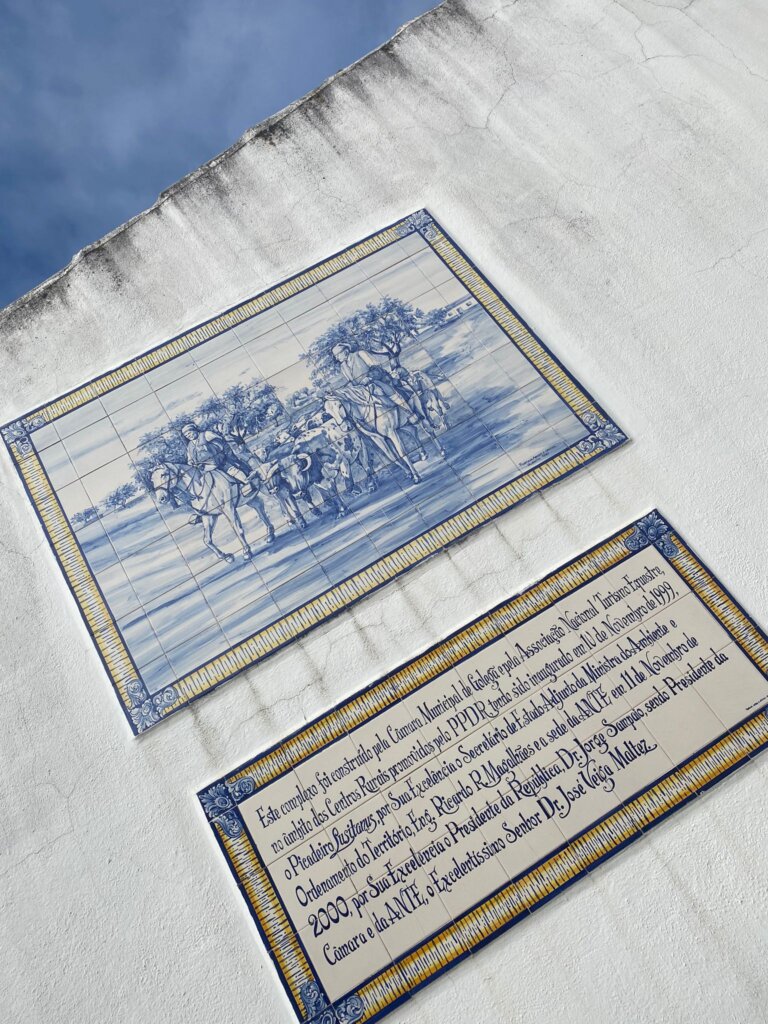 WhatsApp Image 2023-11-12 at 15.45.34 (7)