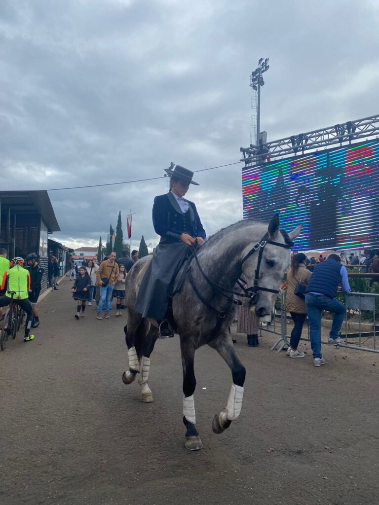 WhatsApp Image 2023-11-12 at 15.45.34