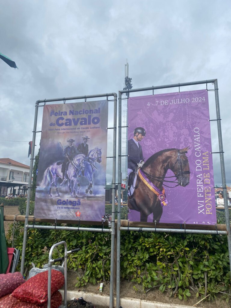 WhatsApp Image 2023-11-12 at 15.45.35