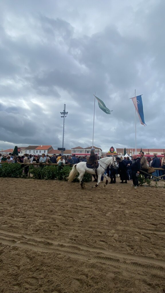 WhatsApp Image 2023-11-12 at 15.45.35 (2)