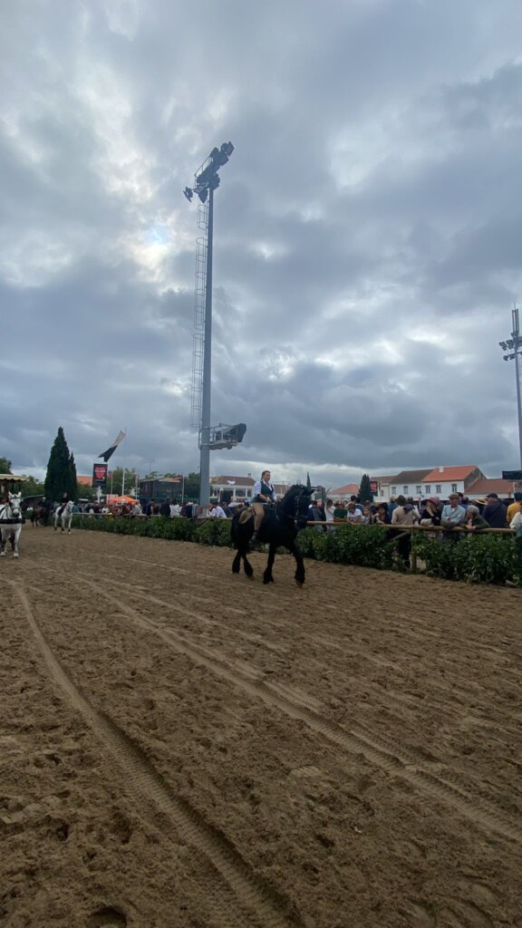 WhatsApp Image 2023-11-12 at 15.45.35 (3)