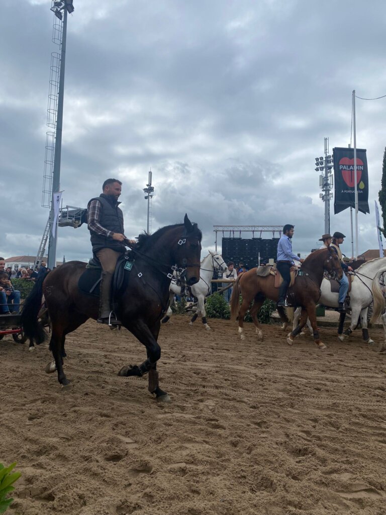 WhatsApp Image 2023-11-12 at 15.45.35 (5)