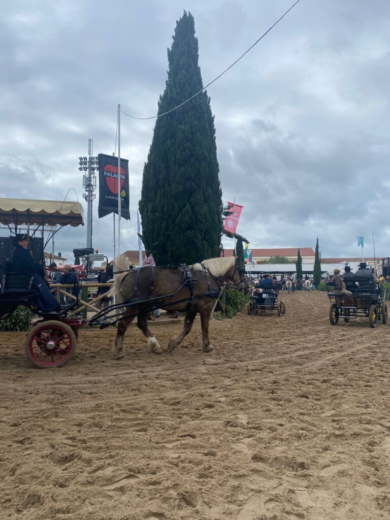 WhatsApp Image 2023-11-12 at 15.45.35 (8)