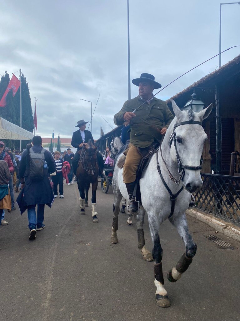 WhatsApp Image 2023-11-12 at 15.45.35 (9)