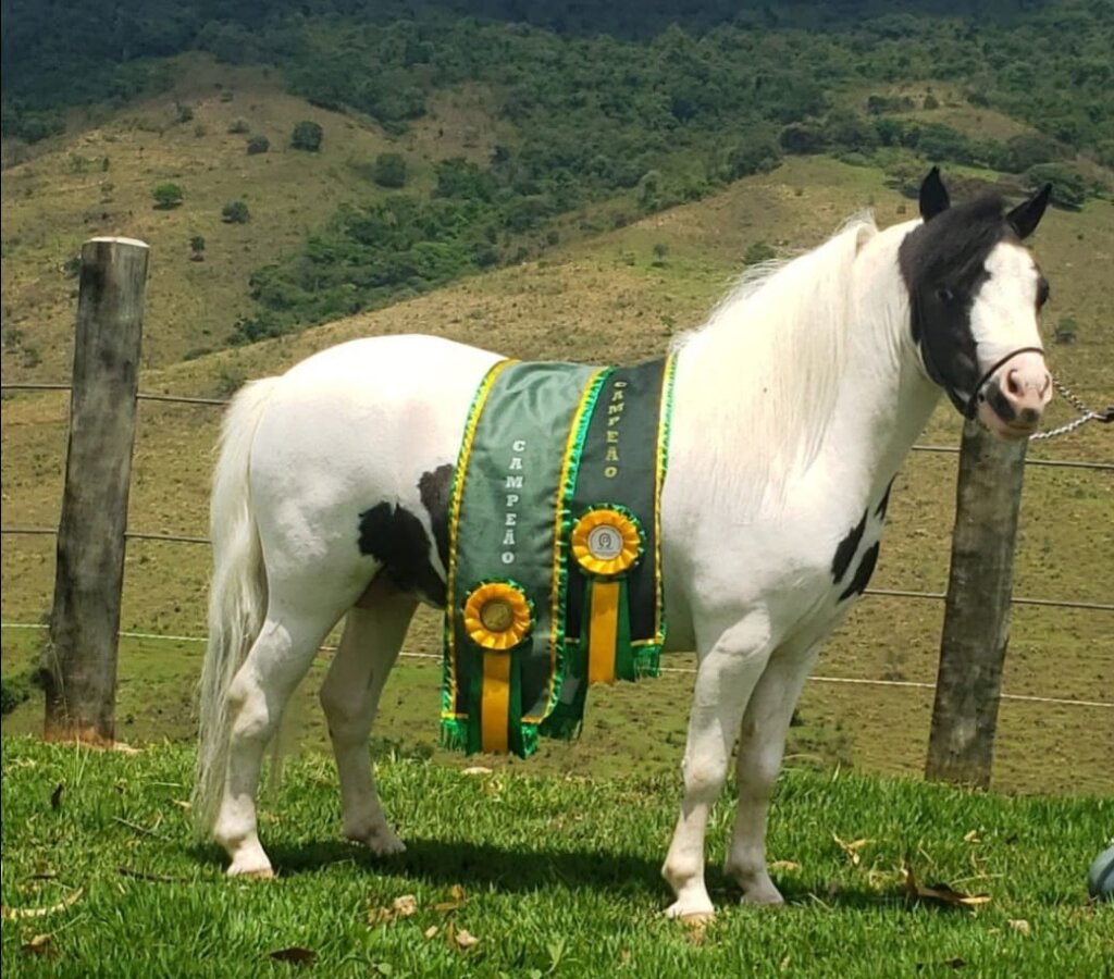 WhatsApp Image 2023-11-21 at 18.51.18