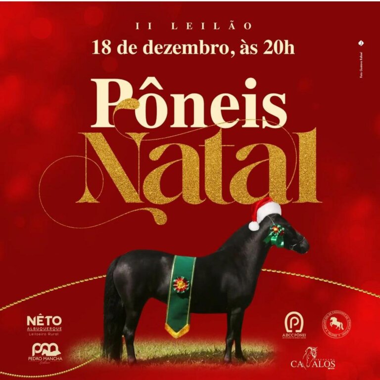 WhatsApp Image 2023-12-12 at 14.22.25