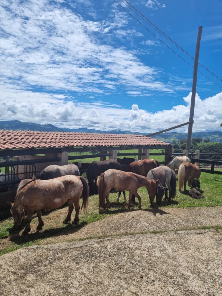 WhatsApp Image 2024-01-15 at 15.10.57 (2)