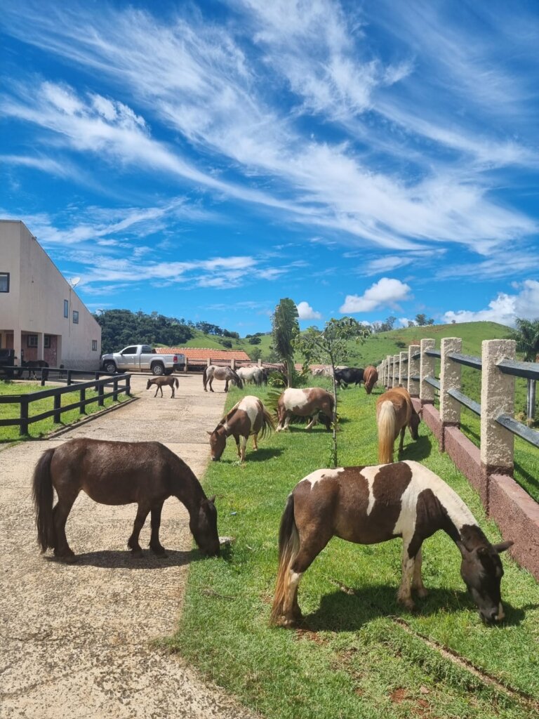 WhatsApp Image 2024-01-15 at 15.10.57