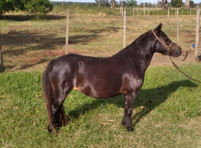 WhatsApp Image 2024-01-17 at 08.56.51