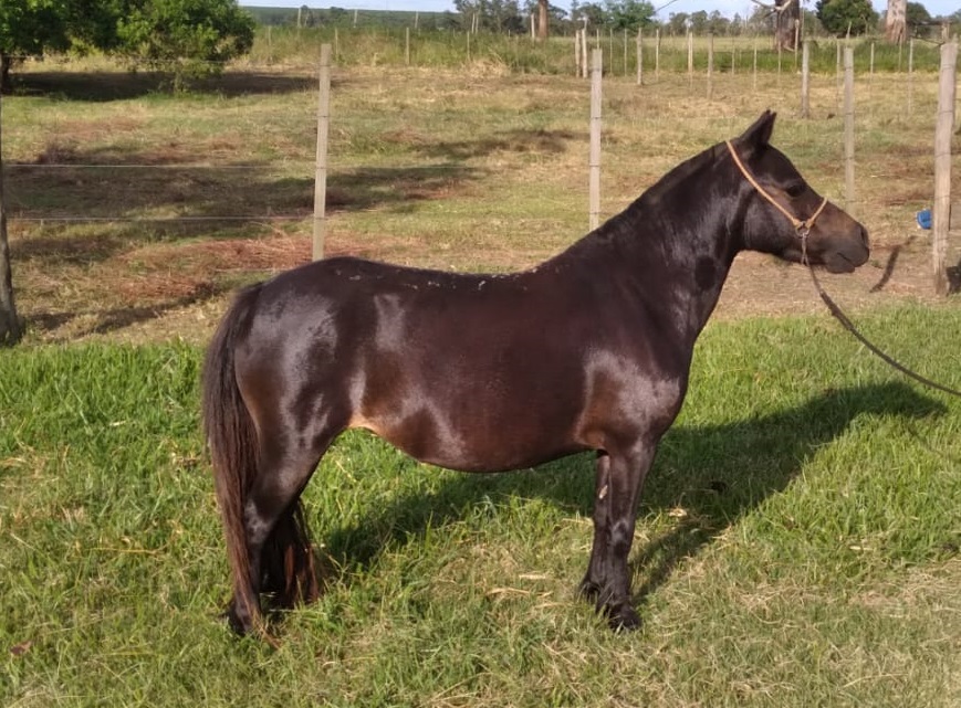 WhatsApp Image 2024-01-17 at 08.56.51