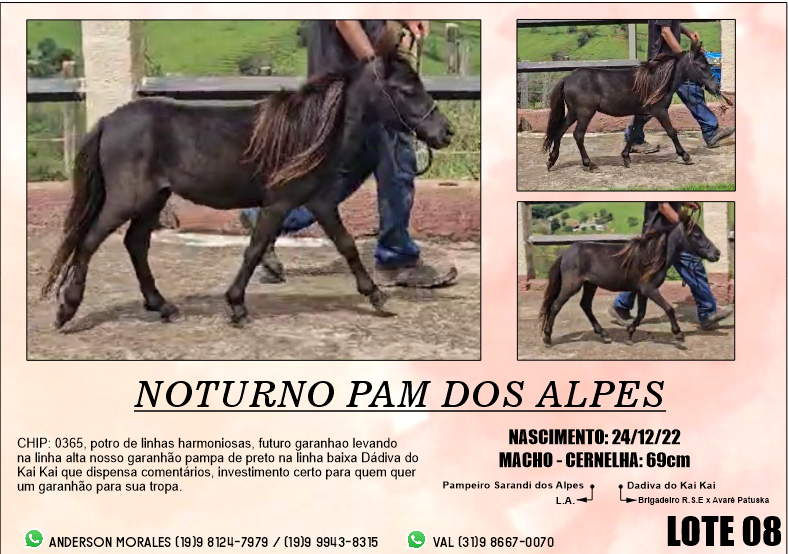 imagem_2024-02-24_132932596