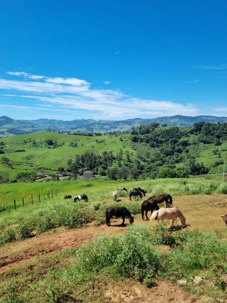 WhatsApp Image 2024-04-12 at 17.01.48