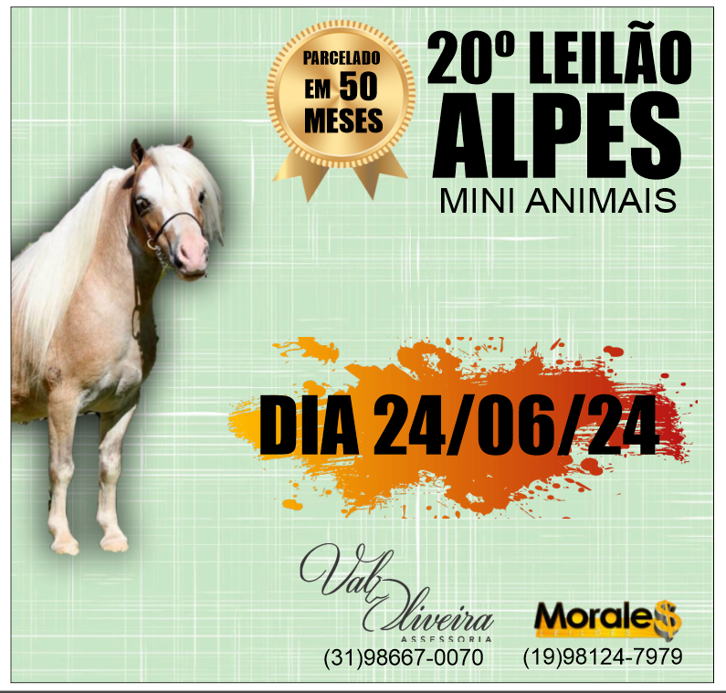 20 leilao alpes