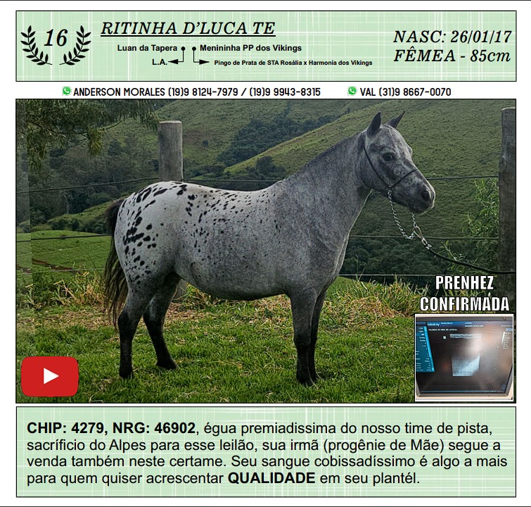 WhatsApp Image 2024-05-18 at 17.51.57