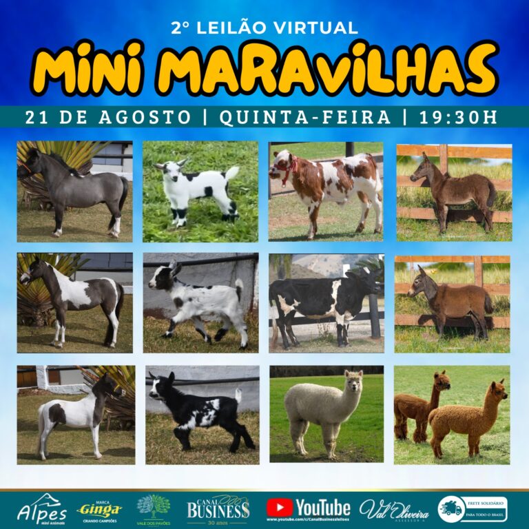 WhatsApp Image 2025-08-05 at 17.40.28