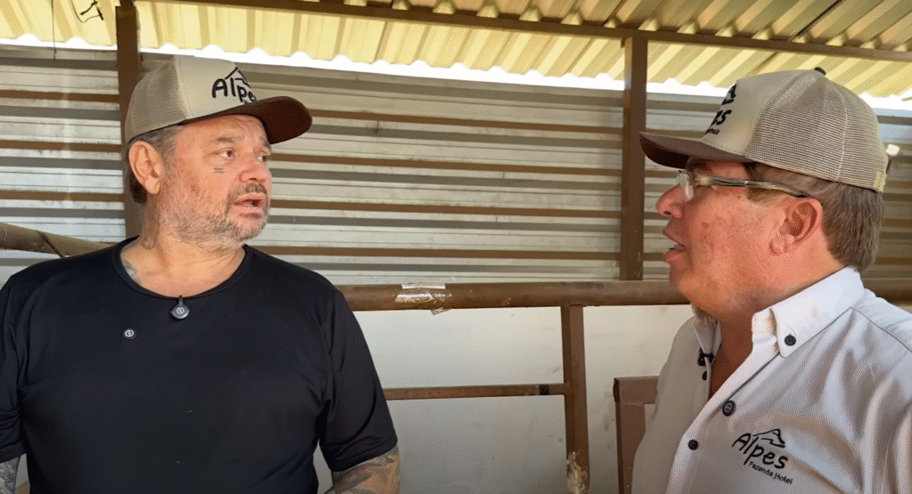 d32wdw65d6w6d5w6dw56wd5