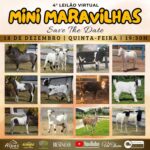 WhatsApp Image 2025-12-11 at 13.40.41