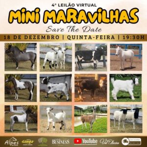 WhatsApp Image 2025-12-11 at 13.40.41