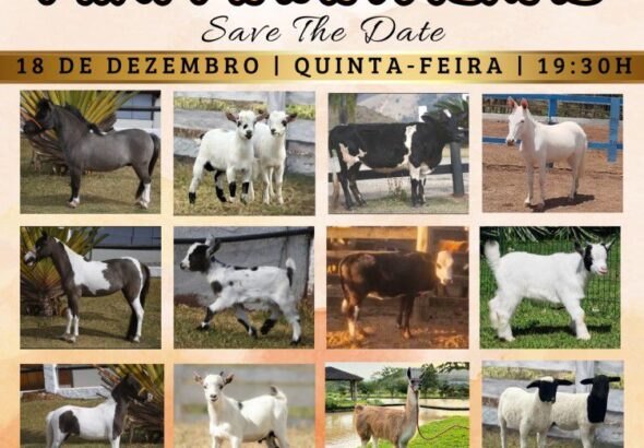 WhatsApp Image 2025-12-11 at 13.40.41