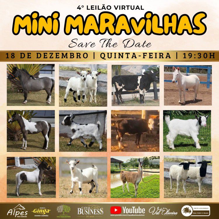 WhatsApp Image 2025-12-11 at 13.40.41