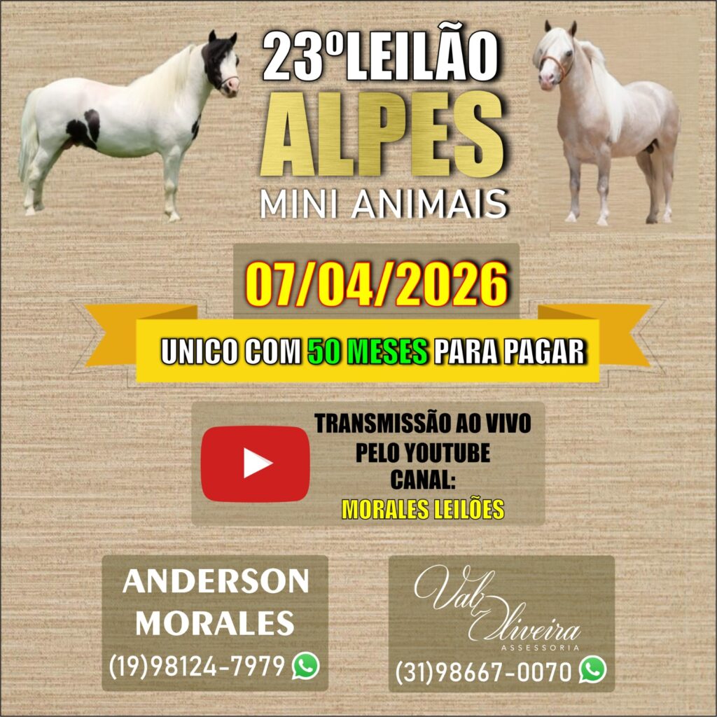 WhatsApp Image 2026-03-26 at 16.06.37