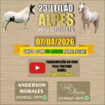 WhatsApp Image 2026-03-26 at 16.06.37