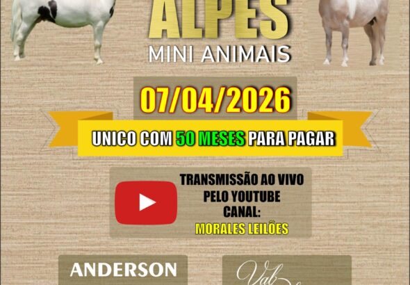 WhatsApp Image 2026-03-26 at 16.06.37