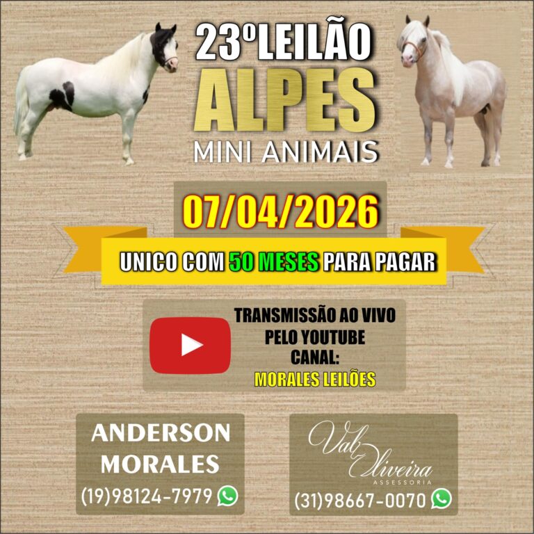 WhatsApp Image 2026-03-26 at 16.06.37