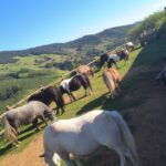 WhatsApp-Image-2026-04-14-at-15.01.56